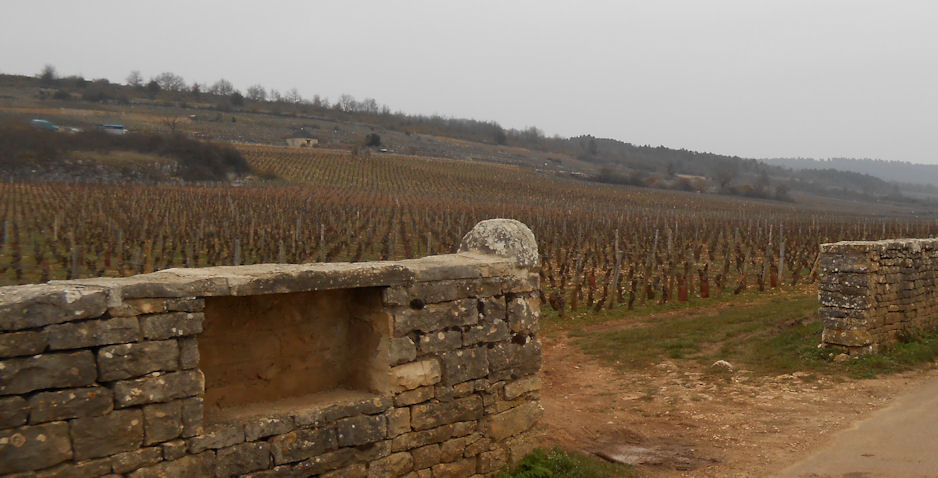 Beaune Burgundy